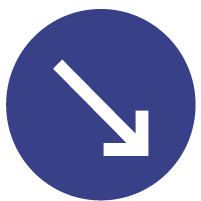 N-Type Icon