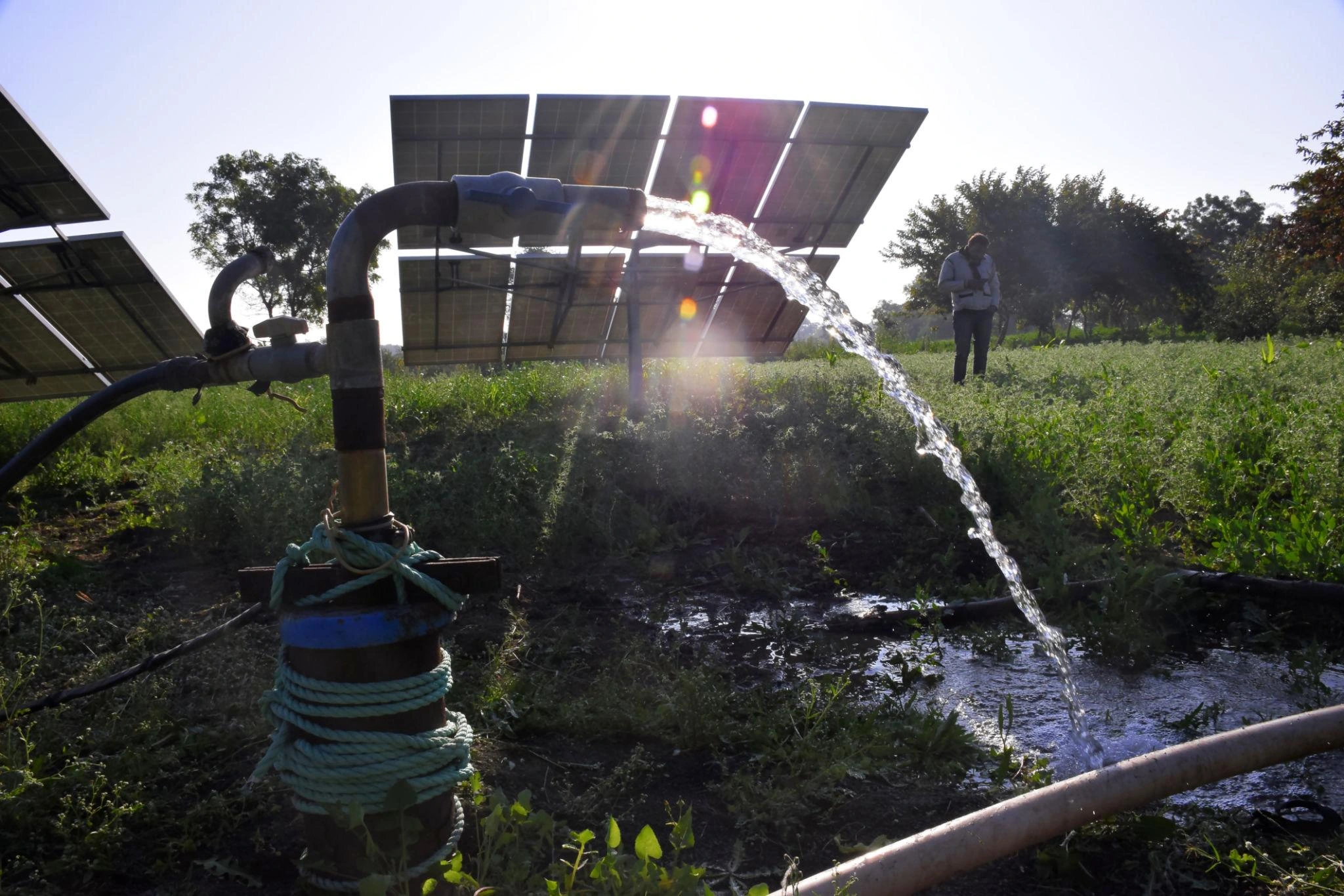 Solar pumping irrigation system