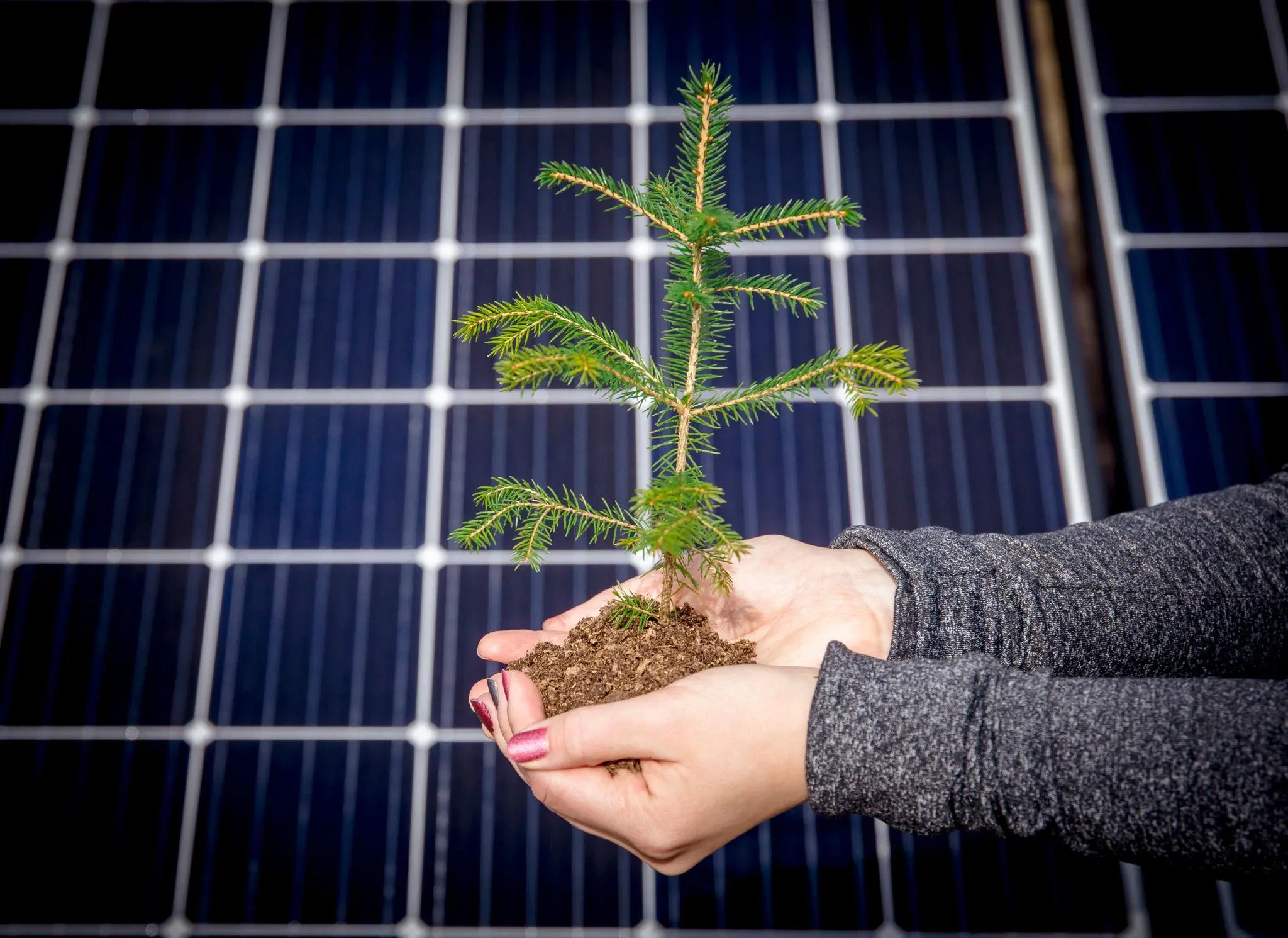Sustainability and environmental responsibility