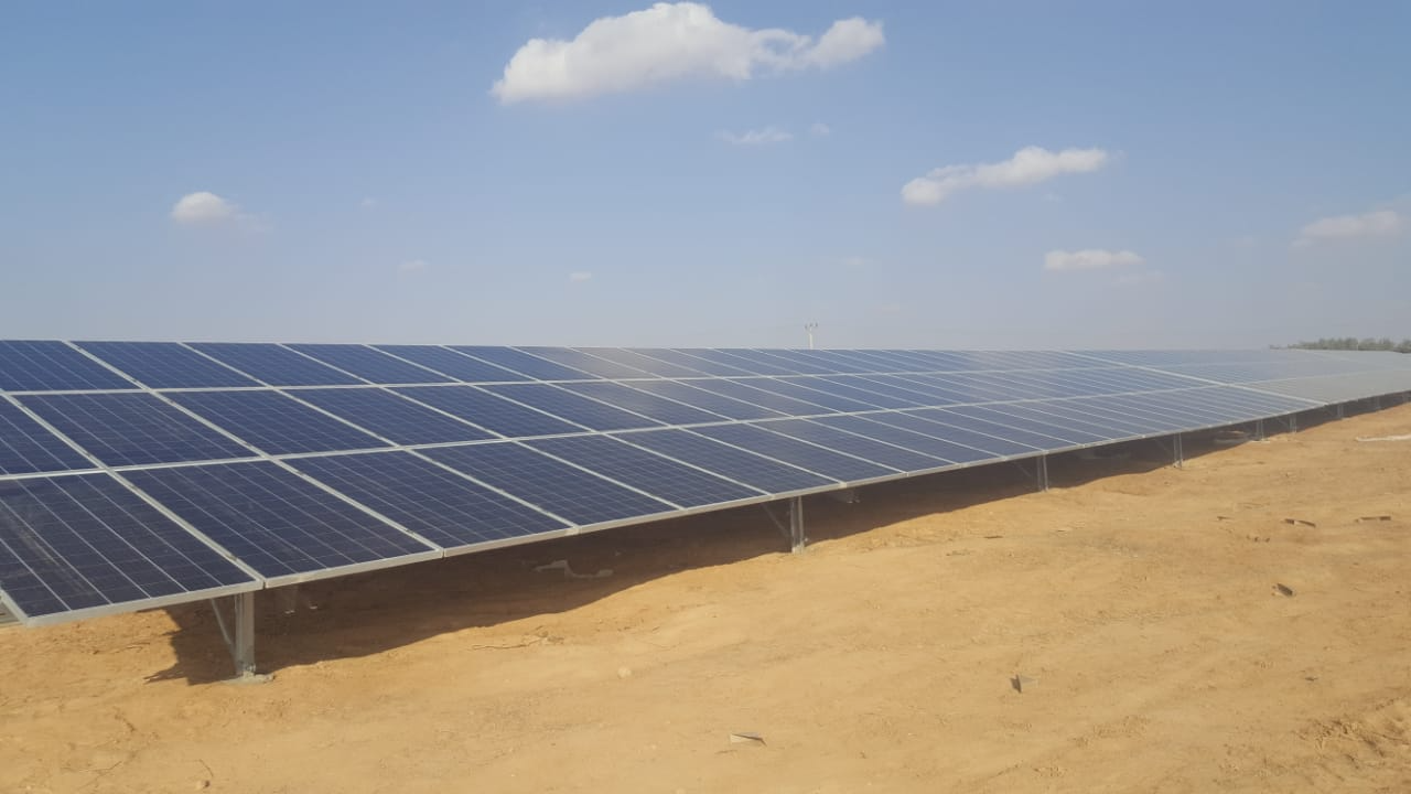 Dr. Abd-Albadee’ & Shawqi Hamam Farm