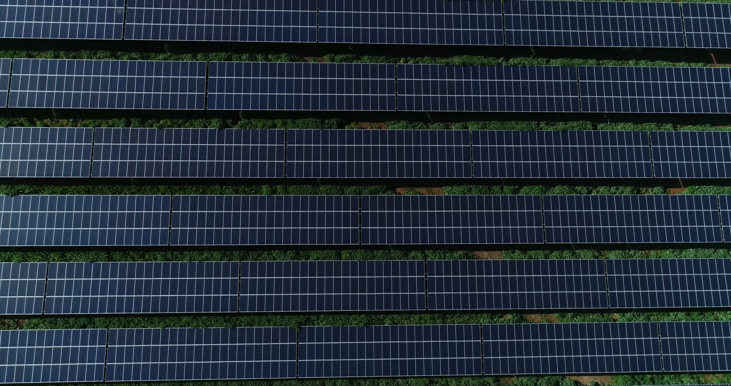 Clemenceau Hospital and Abdali Medical Center solar project