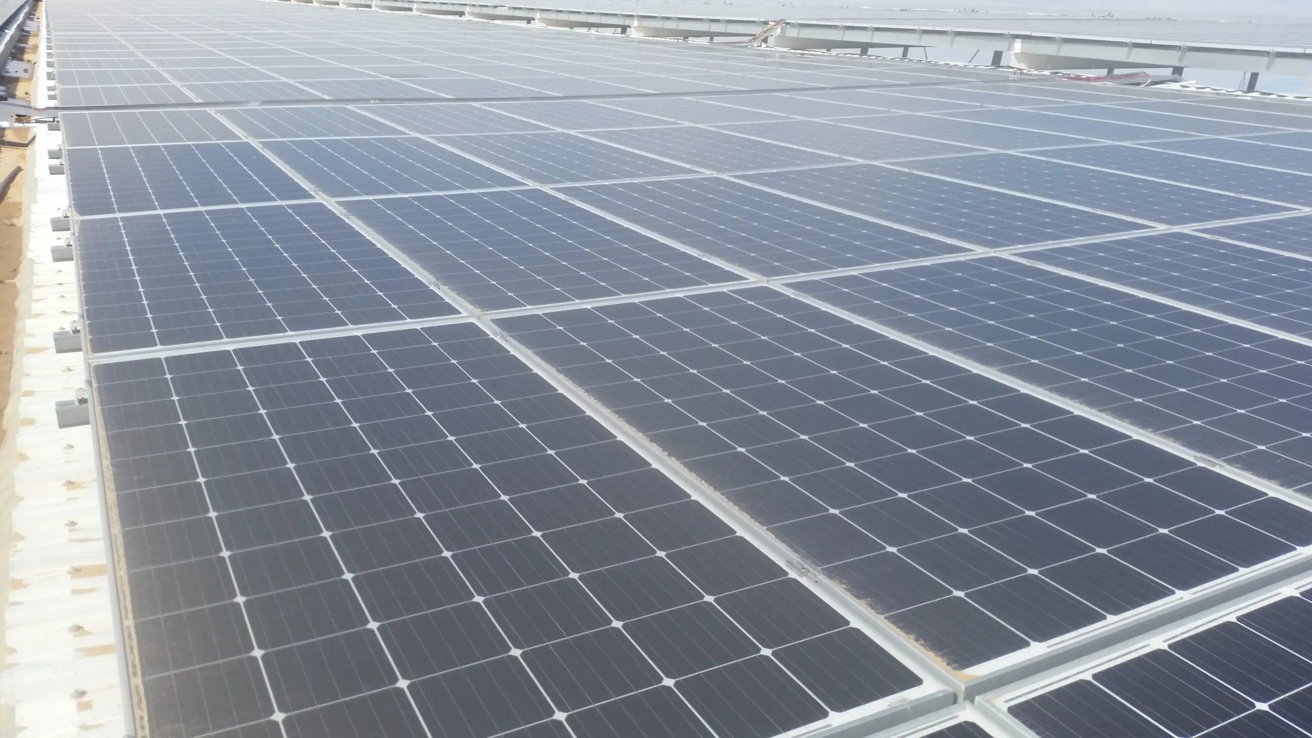 Close view of photovoltaic module surface and rows at industrial solar installation