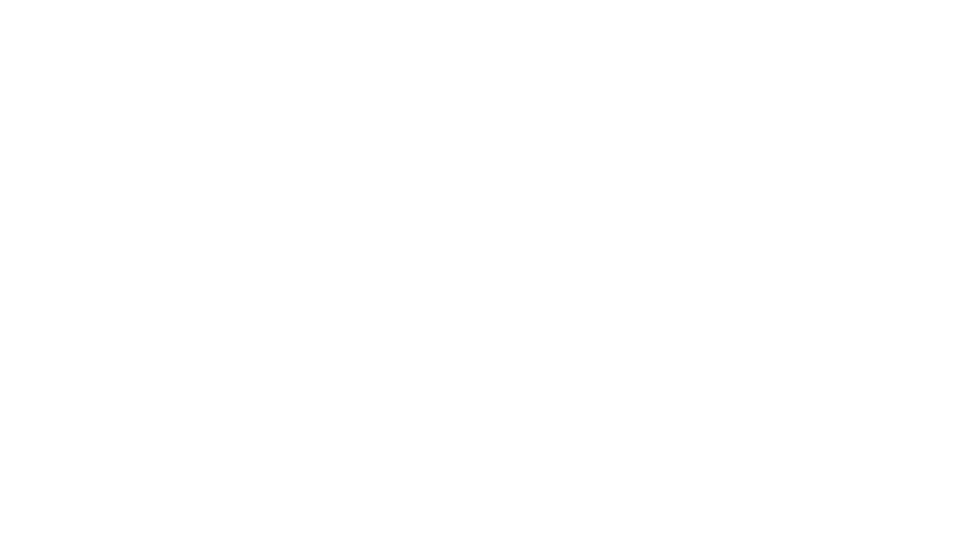 Partner Logo 2